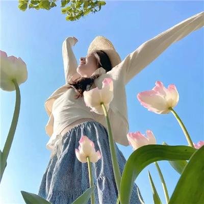 群芳劫